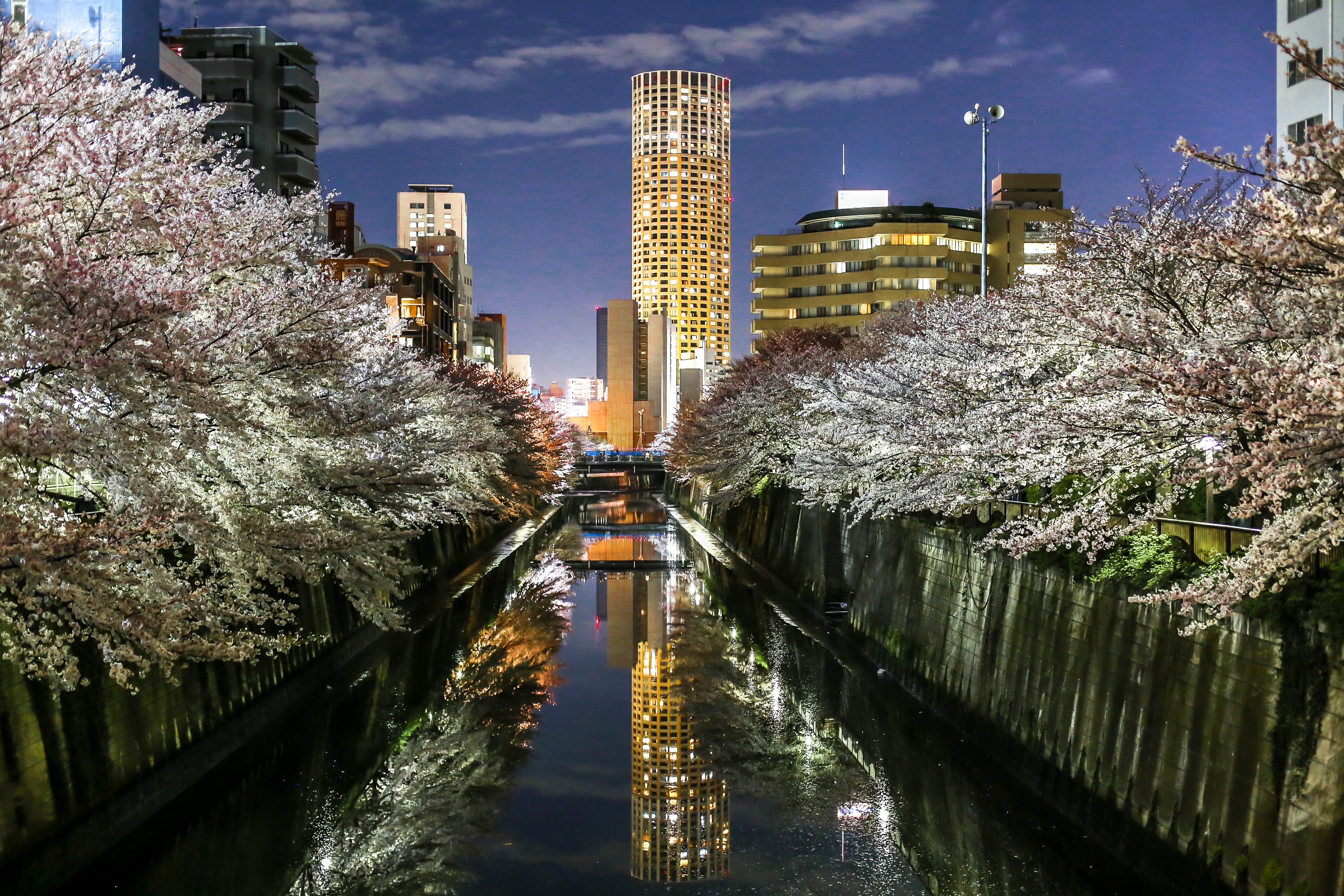 Tokyo kyoto. Река Мэгуро Токио. Япония Киото улицы. Киото (город в Японии). Река Мегуро Япония.